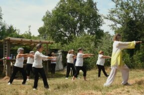 demonstration qi gong association ect au jardin collectif de la coutelliere à Saint-Herblain et Couëron. photographe Juliette Grall